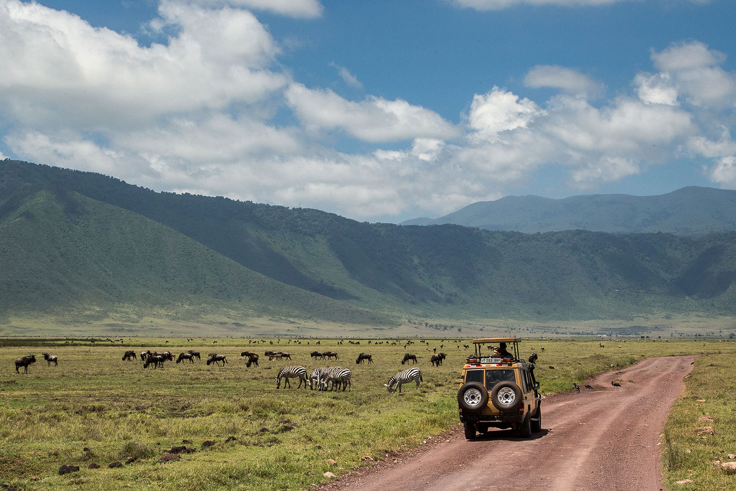 Ngorongoro Crater